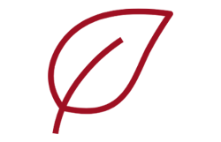 icon_nachhaltigkeit